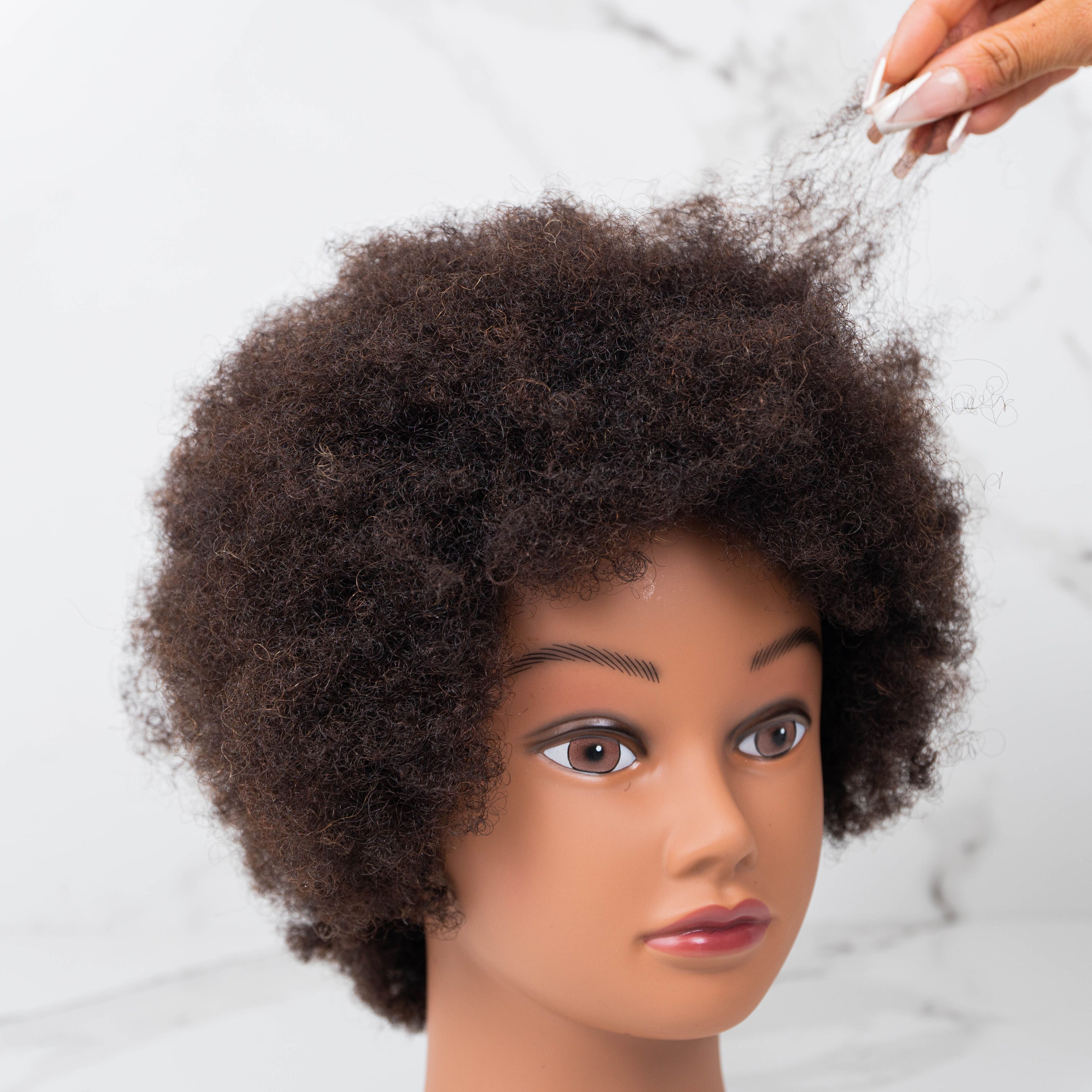 Afro Mannequin