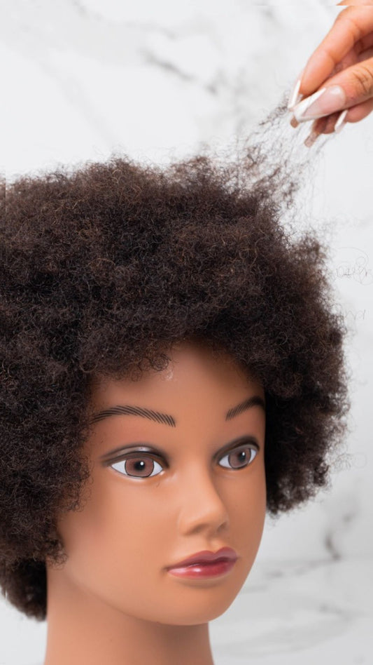 Afro Mannequin